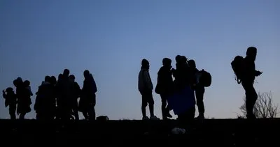 75 düzensiz göçmen, jandarmaya takıldı