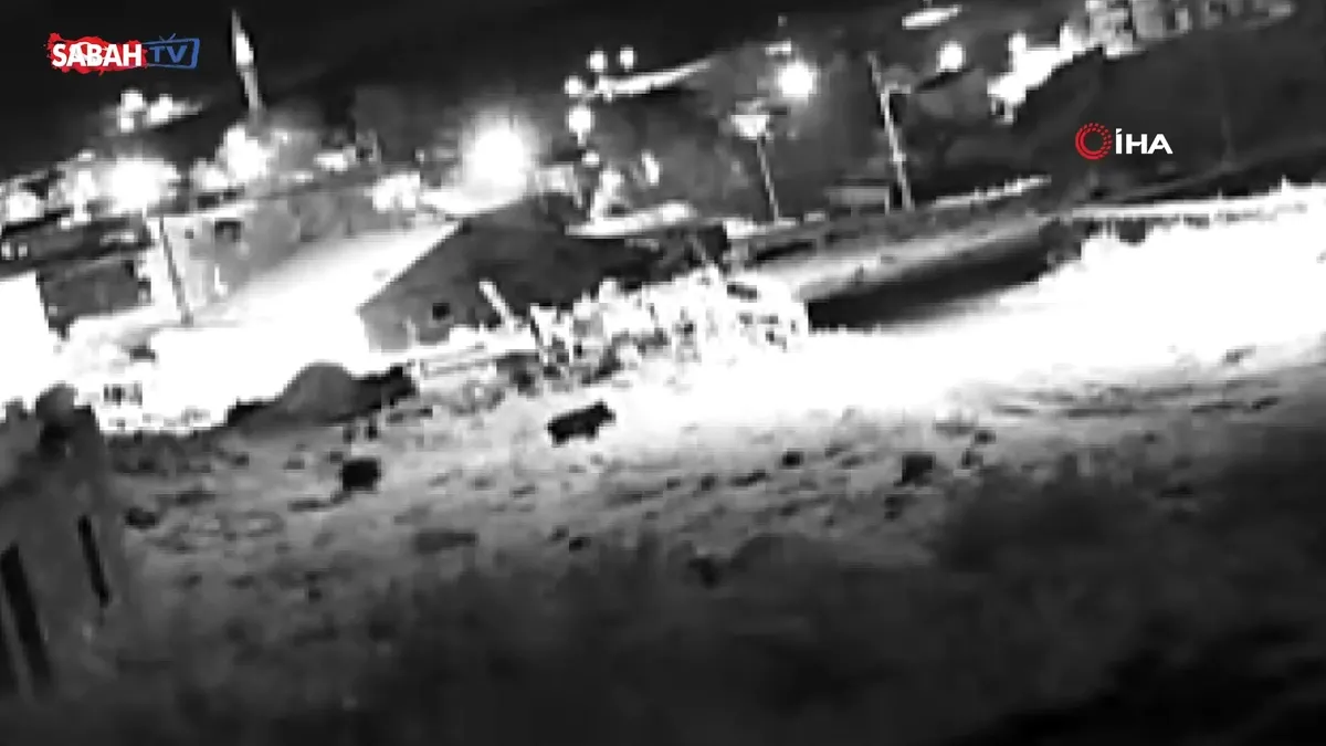 Ardahan’da yaban domuzu sürüsü köye indi: O anlar kamerada | Video videosunu izle Ardahan’da yaban domuzu sürüsü köye indi: O anlar kamerada | Video videosunu izle