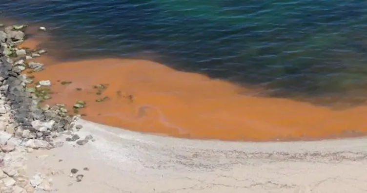 Karadeniz’de korkutan görüntü! Suyun rengi değişti: Ekipler inceleme başlattı
