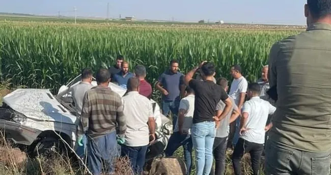 Şanlıurfa’da otomobil Mısır tarlasına devrildi: 1 ölü Şanlıurfa’da otomobil Mısır tarlasına devrildi: 1 ölü