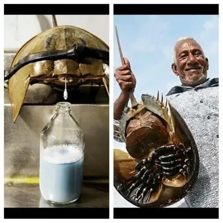 Bu çalışanların işi çok zor