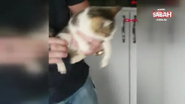 3 gündür kuyuda mahsur kalan kediyi AFAD ekipleri kurtardı