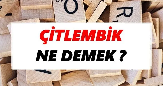Çitlembik Ne Demek? TDK’ya Göre Çitlembik Sözlük Anlamı Nedir?