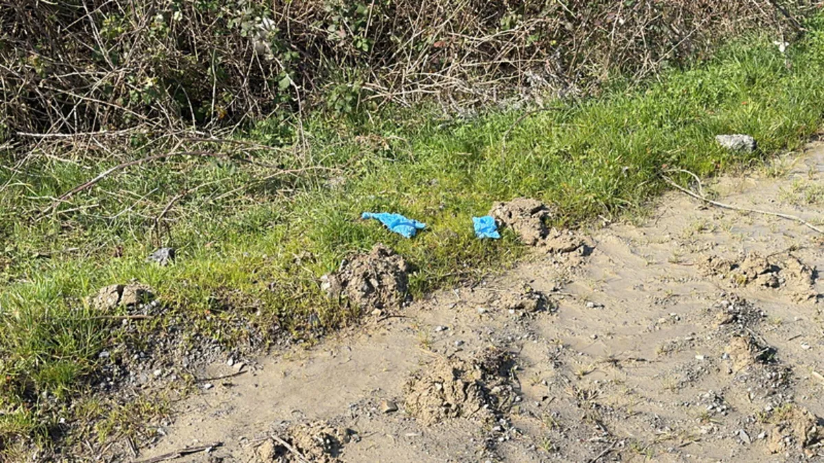 İstanbul’da kan donduran vahşet! Çinli iş insanının cesedi elleri ve ayakları bağlı halde gömülü bulundu