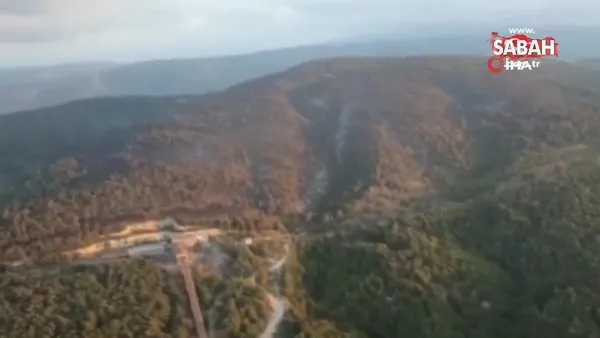 Soma'daki orman yangınının etrafı çevrildi | Video