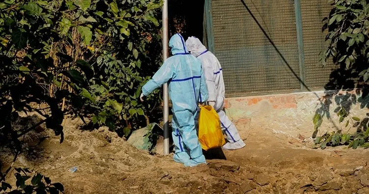Japonya’da kuş gribi paniği: Yüz binlerce tavuk itlaf edilecek