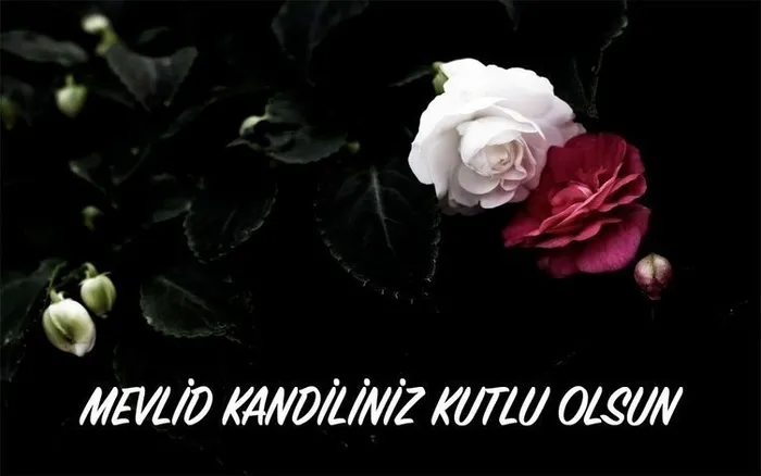 Mevlid Kandili mesajları ve sözleri! 2020 Kısa, Uzun Kandil mesajları ve Resimli Mevlid Kandil mesajı