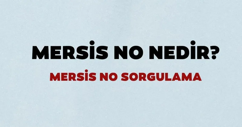 sorgulama 2020 mersis no nedir