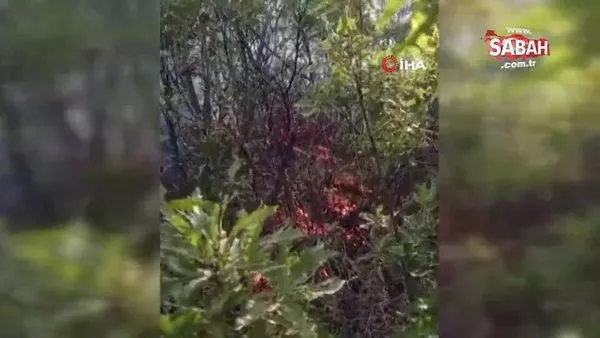 Siirt'te ormanlık alanda çıkan yangın 52 saatlik çalışma sonucu söndürüldü | Video