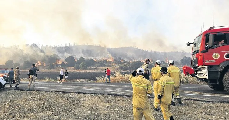 Anız yakarken ormanı ateşe verdiler