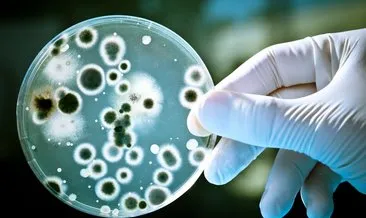 Araştırmaya göre antibiyotiğe dirençli bakteriler milyonlarca ölüme neden oluyor