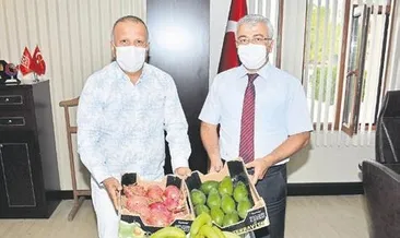 Manavgat’tan tropikal ürün atağı