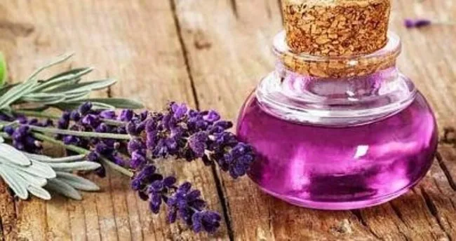 Lavanta Yağı Faydaları – Lavanta Yağının Faydaları Nelerdir, Ne İşe Yarar ve Hangi Hastalıklara İyi Gelir?