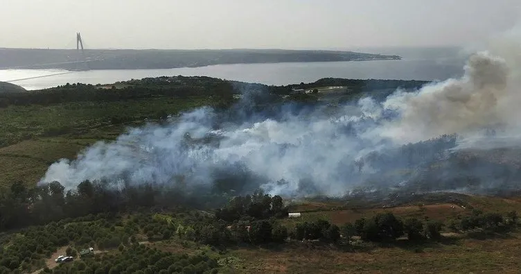 Beykoz’da çıkan orman yangını söndürüldü