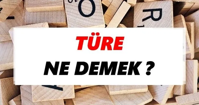 Türe Ne Demek? TDK’ya Göre Türe Sözlük Anlamı Nedir?