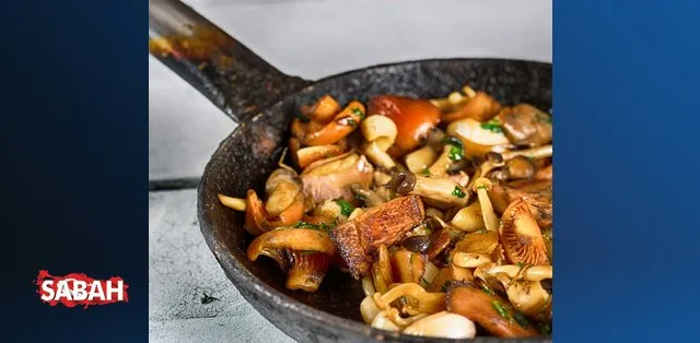 istiridye mantari tarifi ve yapilisi istiridye mantari nasil yapilir ve pisirilir sebze yemekleri haberleri