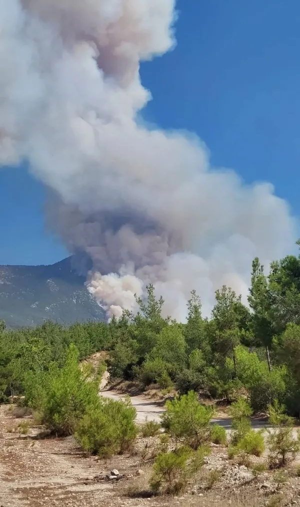 Denizli Orman Yangını