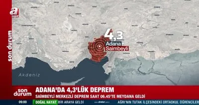 Adana Saimbeyli’de 4,3’lük korkutan deprem! | Video