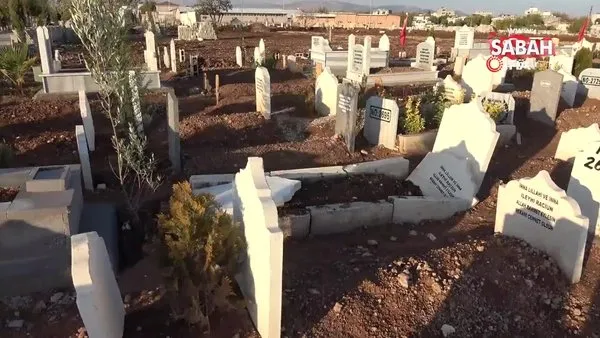 Adıyaman’da mezarlıkta şaşırtan görüntü | Video