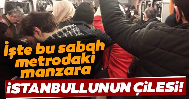 İstanbul metrosunda balık istifi seyahat!