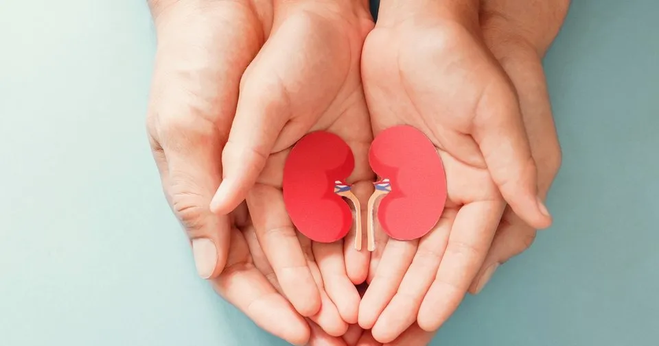 Çocuklarda böbrek reflüsü nasıl anlaşılır? Çocuk Haberleri Çocuklarda böbrek reflüsü nasıl anlaşılır? Çocuk Haberleri