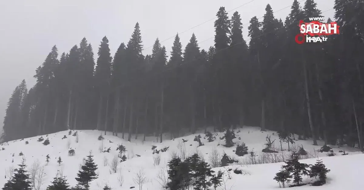 ilgaz dagi nda yogun kar yagisi video videosunu izle son dakika haberleri