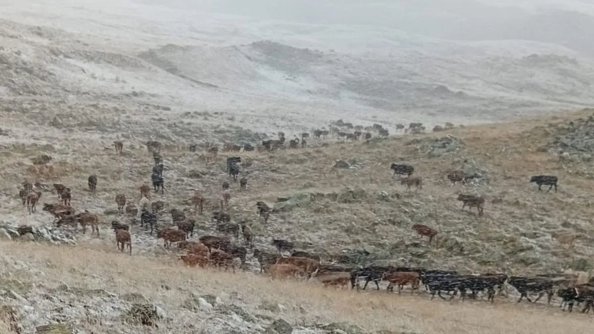 Erzurum’un yüksek kesimlere kar yağdı