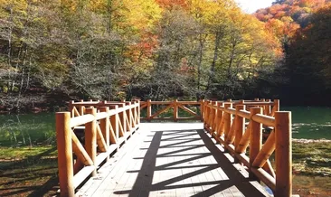 Yeşilden sarıya kızıldan mora en güzel duraklar #bolu
