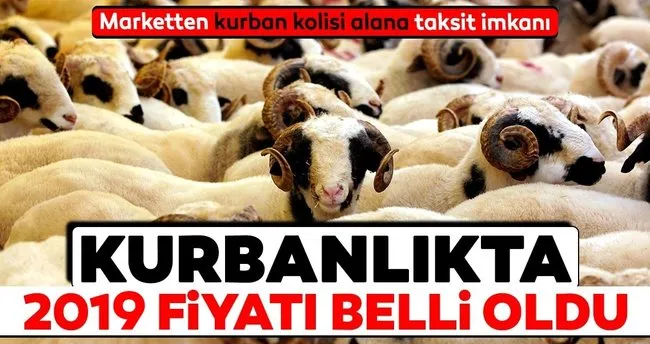 kurbanlikta 2019 fiyati 1 000 tl son dakika haberler