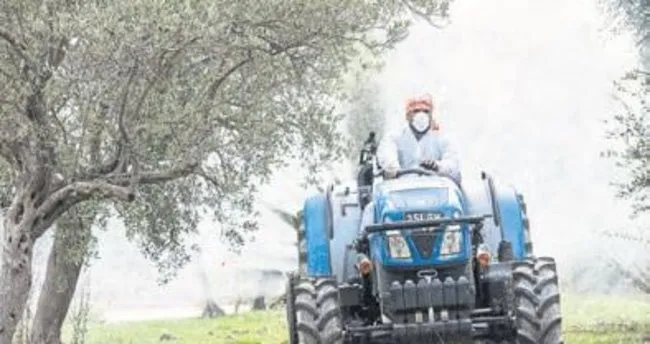 Zeytin Ureticisine Bitki Ilaci Dagitildi Egeli Sabah Haberleri