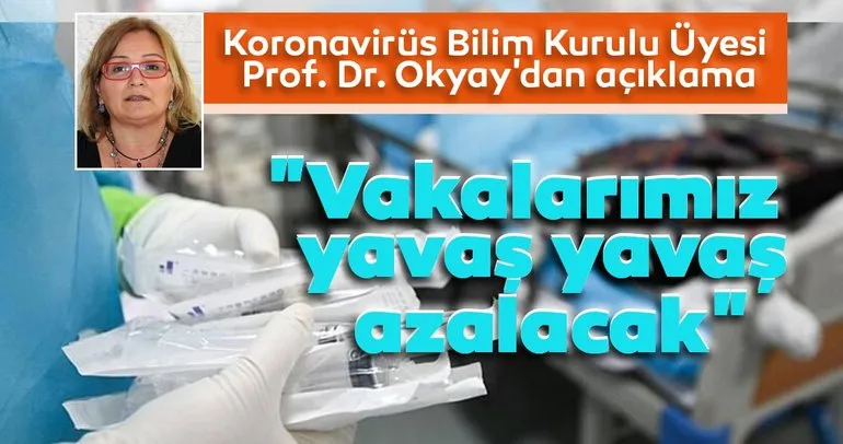 Son dakika haberi: Koronavirüs Bilim Kurulu Üyesi Prof. Dr. Okyay vaka sayılarını değerlendirdi