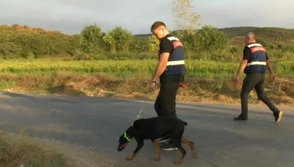 korhan-berzegi-bulmak-icin-gps-takilan-tina-her-defasinda-eve-dondu-1693650925121.jpg