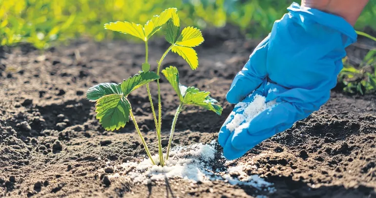 Savaş gıda krizini tetikler mi?