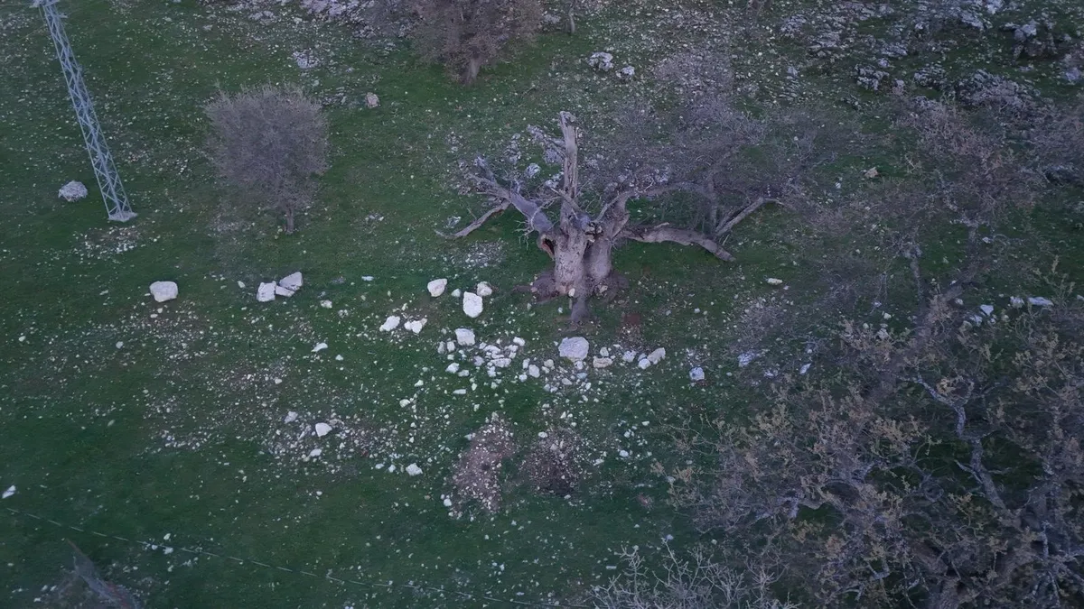 Gülistan Doku soruşturmasında flaş: Mezarı 18 noktada 40 kilometrelik alanda arandı! Gülistan Doku soruşturmasında flaş: Mezarı 18 noktada 40 kilometrelik alanda arandı!