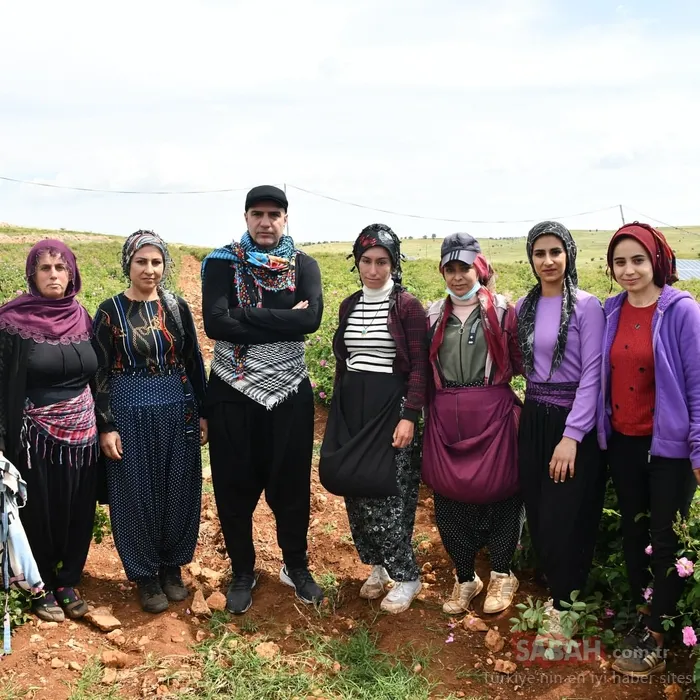 Berdan Mardini memleketinde fabrika kurdu! Ünlü türkücü dünyaya açılıyor! Güllerinin kilosu 14 bin Euro!