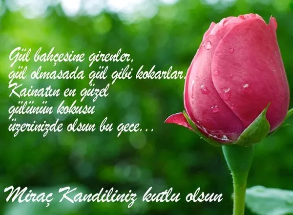 Miraç Kandili'nde okunacak dualar ve sureler! Miraç Kandili'nde hangi ibadetler yapılır?