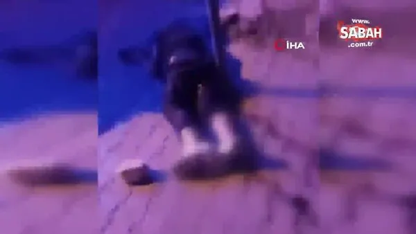 Gaziantep'te korkunç cinayet! Önce bıçaklandı, sonra kafasına taşla vurularak öldürüldü | Video