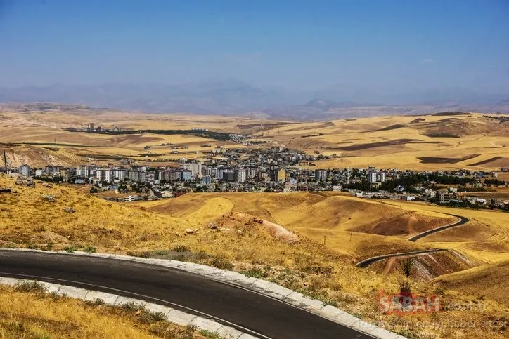 Türkiye’nin En Genç ve En Yaşlı Şehri açıklandı! Sıralamaya o ilimiz damga vurdu