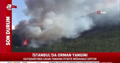 Son dakika haberi | İstanbul’da orman yangını | Video