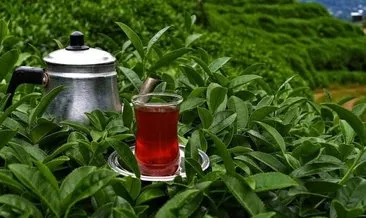 Türk çayı pazar payının artırılması hedefleniyor