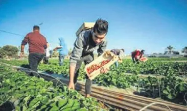 Norveç’ten ‘Batı Şeria etiketi’ çıkışı