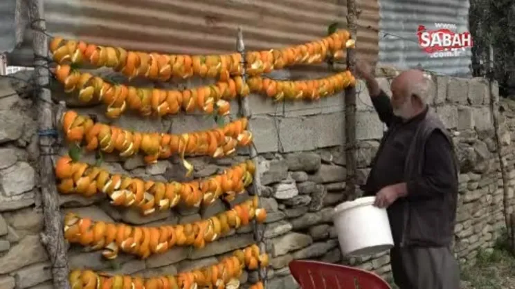 Limonun kabuğu kendinden değerli | Video