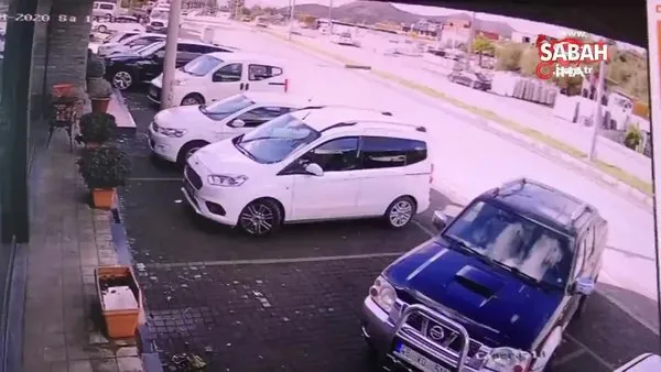 Muğla'da vicdansız sürücünün köpeği ezdikten sonra yoluna devam ettiği anlar kamerada | Video