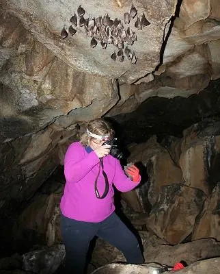 Lav tüpü mağaraları yabani hayvanlara yuva oldu