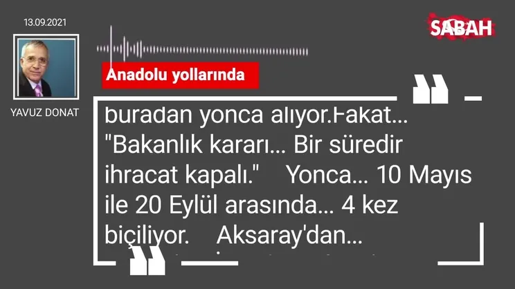 Yavuz Donat | Anadolu yollarında