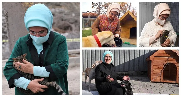 Emine Erdoğan’dan ’Hayvanları Koruma Günü’ paylaşımı: Onları merhametimizle yaşatalım