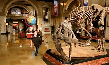 Yurtdışında gezebileceğiniz 6 müze