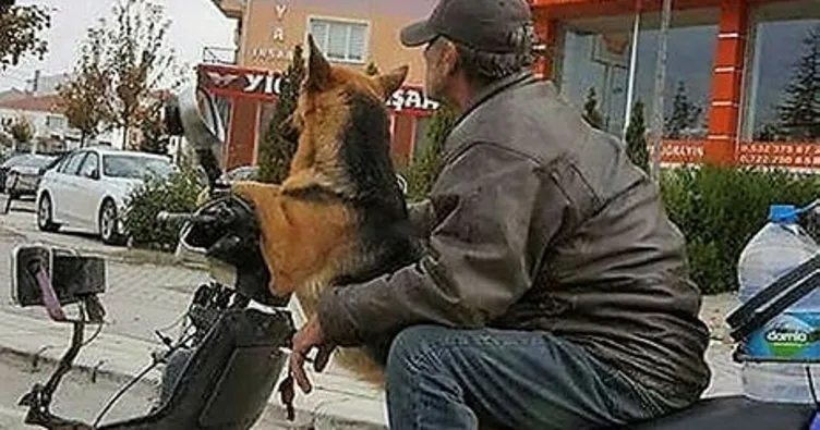 Motosiklet sürücüsü köpeği ile böyle seyahat etti