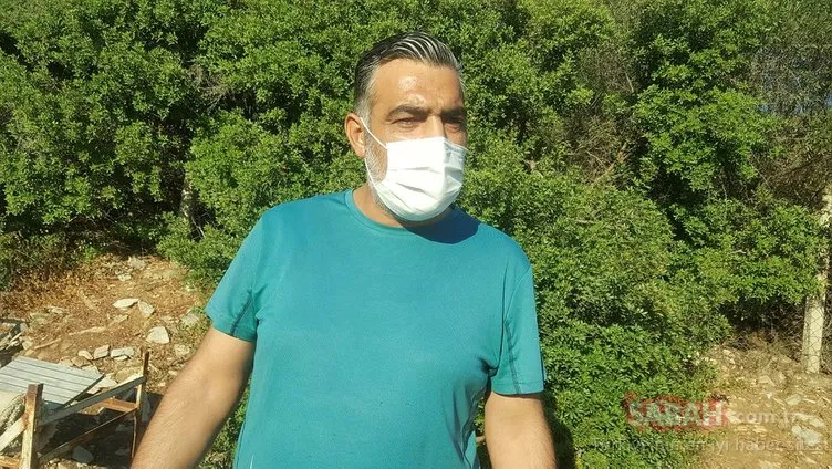 Son dakika haberi: Bodrum bu olay ile çalkalanıyor! Bir köpek tarafından bulunan kafatası Mehmet Ali Koran'a mı ait?