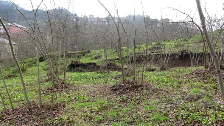 Duvarları çatlayan evlerinde nöbetleÅe uyuyorlar